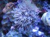 Apr022010_0176.jpg