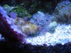 Apr022010_0177.jpg
