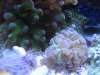 Apr022010_0187.jpg