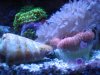 Apr022010_0184.jpg
