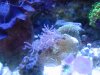Apr022010_0267.jpg