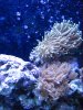 Apr022010_0268.jpg