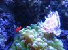 Apr022010_0272.jpg