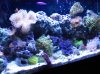 Apr022010_0285.jpg