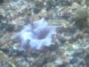 DSCF0439.jpg