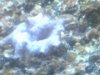 DSCF0441.jpg