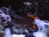 DSCN0328.jpg