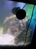 100_0510.jpg