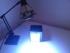 DSC01452.JPG