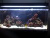 FTS 2.jpg