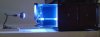 DSC01494.JPG
