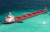 reef1500_584481gm-a.jpg
