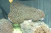 dsc02944a.jpg