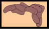 l-aquascape.gif