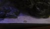 shell2_small.jpg