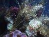 DSCF0412.JPG