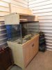 My new tank 2.jpg
