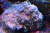 IMAG0164.jpg