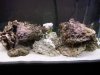 IMG00152-20100329-0756.jpg