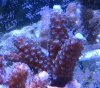 IMG_1034.JPG