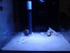 DSC01532.JPG