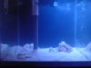 DSC01537.JPG