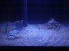 DSC01535.JPG