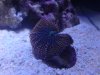 DSC01549.jpg