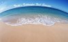 Brett's_Saltwater_Fish_Services.jpg