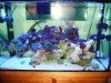 TANK FOR SALE 002.JPG