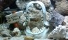 IMAG0218.jpg