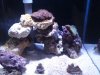 DSC01586.jpg