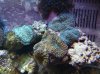 DSC01607.jpg