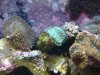 DSC01609.jpg