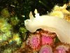 DSCF4624.jpg