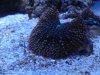 DSC01659.jpg