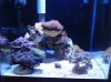 DSC01660.jpg