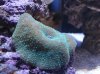 DSC01625.jpg