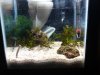 DSC01647.jpg