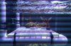 IMAG0156.jpg
