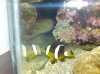 DSC01677.jpg