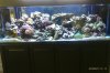 TANK2.jpg