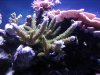 IMG_0047.jpg
