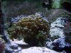 IMG_0261.jpg