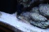 DSC01198.jpg