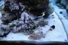 DSC01205.jpg