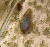 slug1.jpg