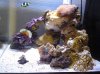 DSC01696.jpg