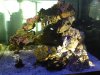 DSC01701.jpg