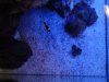 DSC01711.jpg